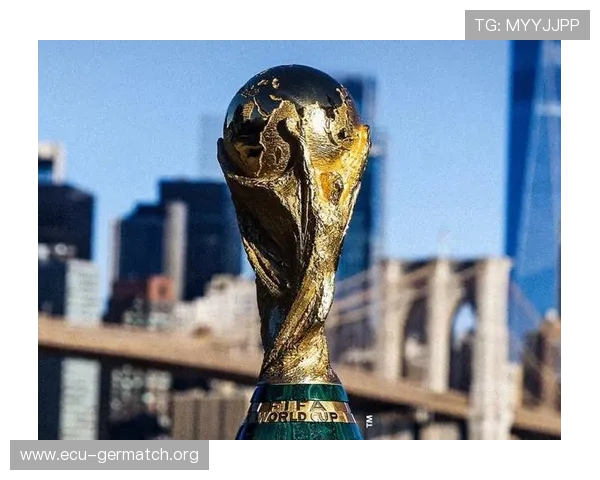 2026世界杯门票官网购票时间安排及提前准备事项全攻略